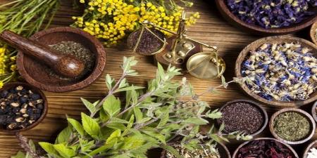 پدیده‌ای مضر به نام خام فروشی گیاهان دارویی