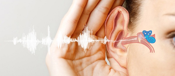  درمان جدید ناشنوایی ناشی از موهای گوش 