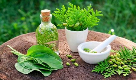 عوارض خطرناک مصرف خودسرانه داروهای گیاهی 