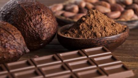 کاکائو و خاصیت آن برای سلامت این قسمت از بدن