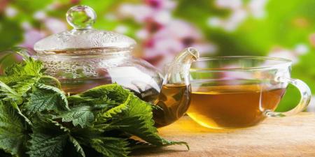 اینفوگرافیک| درمان بیماری‌ها با چای پونه
