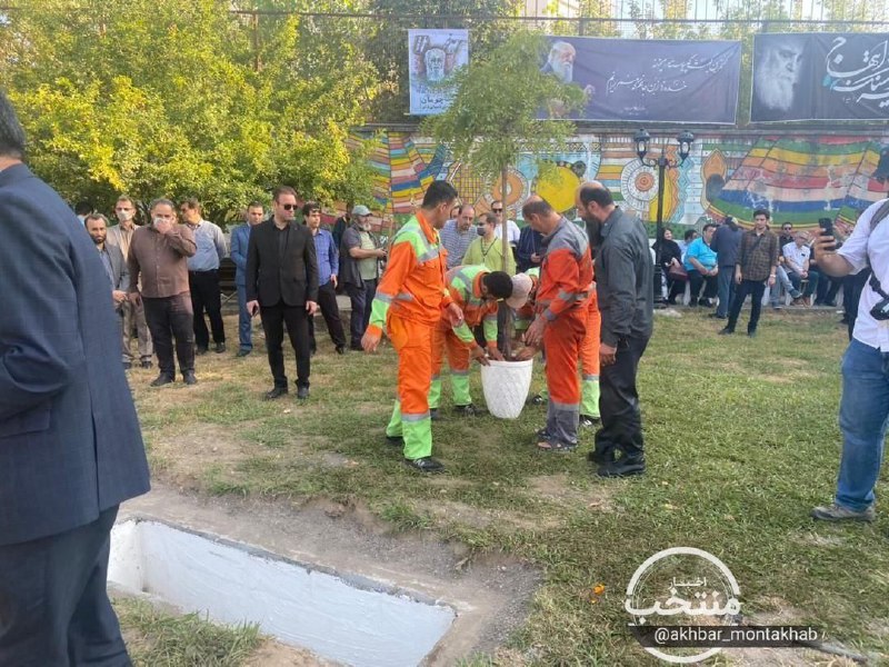 کاشت‌ درخت ارغوان در کنار مزار «سایه» + عکس