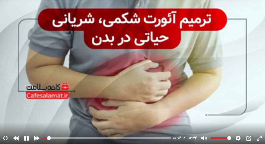 ترمیم آئورت شکمی، شریانی حیاتی در بدن