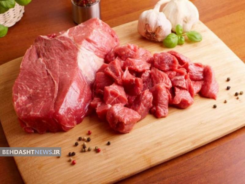  رعایت نکات بهداشتی مهمترین راه پیشگیری از بیماری تب کریمه گنگو است