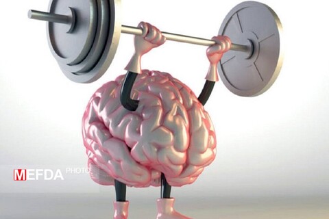 تاثیر ورزش بر روی مغز