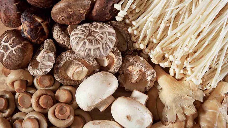 خطر مسمومیت با قارچهای سمی را جدی بگیریم 
