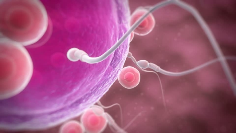 باورهای غلط رایج در مورد اسپرم