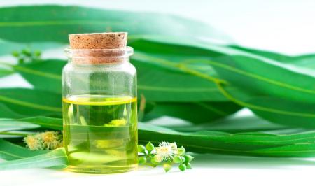 روش استفاده از روغن اکالیپتوس برای درمان سرفه