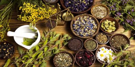 تقویت تخمدان برای بارداری با داروهای گیاهی