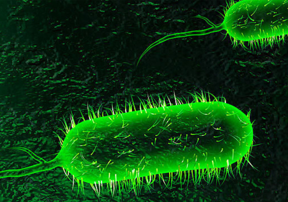  افراد آلوده به وبا چه  نشانه‌هایی دارند؟