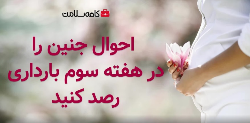 احوال جنین را در سه ماه سوم بارداری رصد کنید