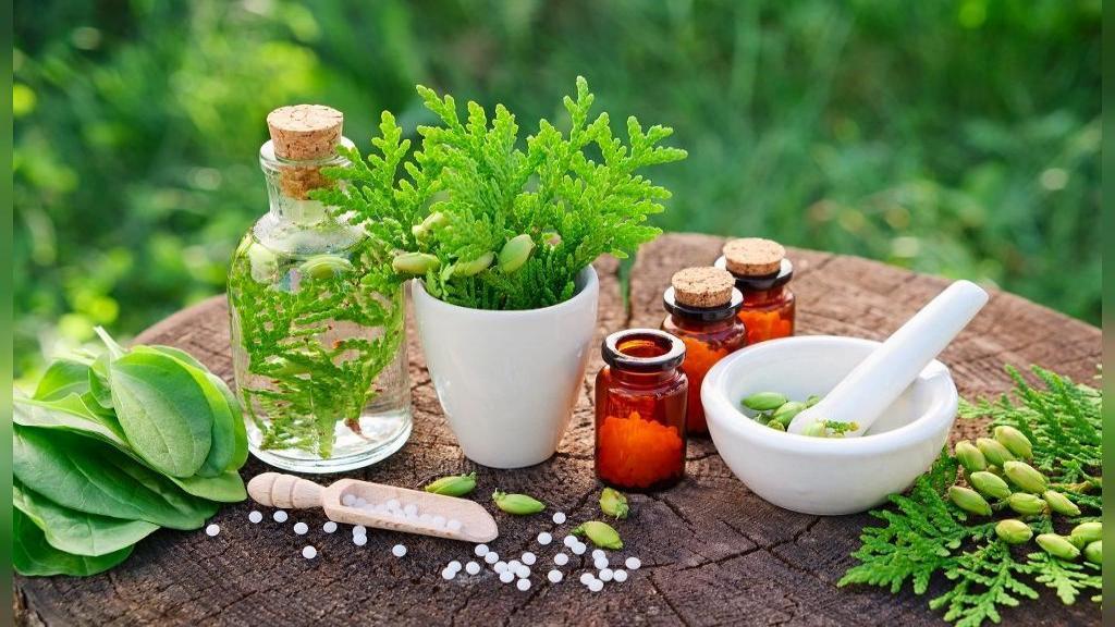 این گیاه سرشار از کلسیم است