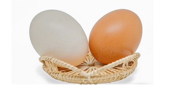 تخم مرغ را بلافاصله بعد از خرید نشویید/ راهکارهای شناخت تخم مرغ فاسد قبل از مصرف