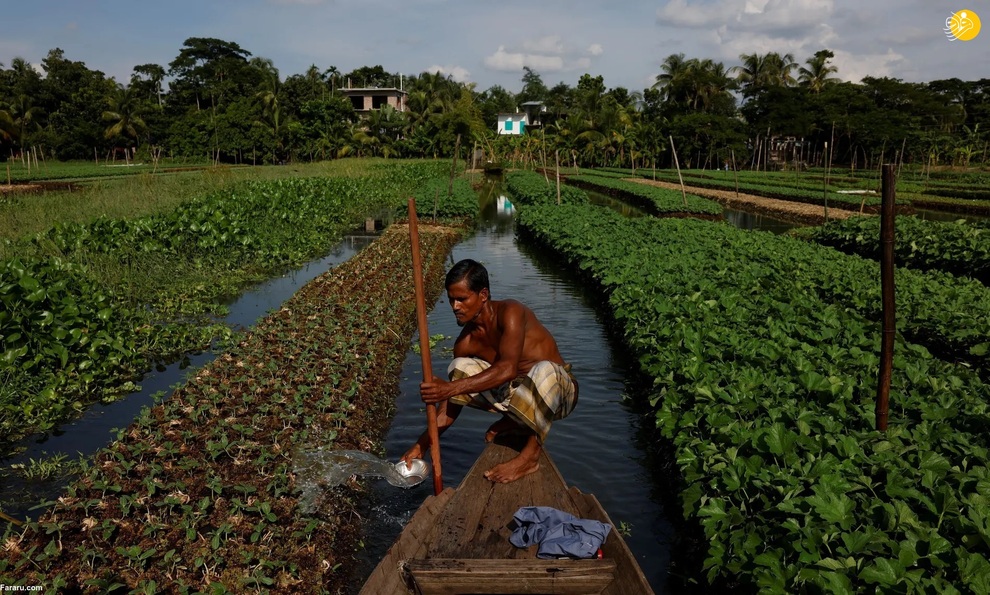 مزارع کشاورزی شناور در بنگلادش + عکس