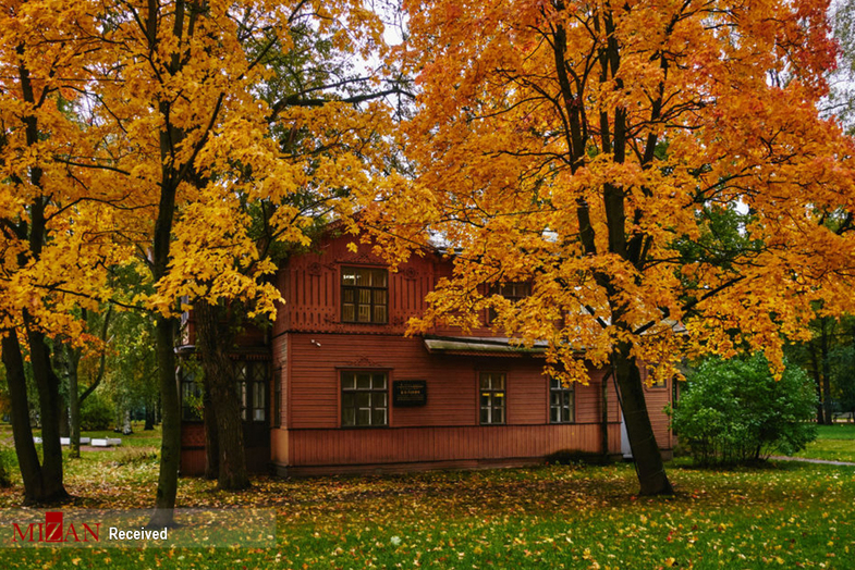 پاییز زیبا در سنت پترزبورگ  +تصاویر