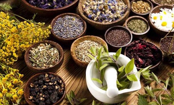 سلطان گیاهان دارویی+ روش های مصرف برای هر بیماری