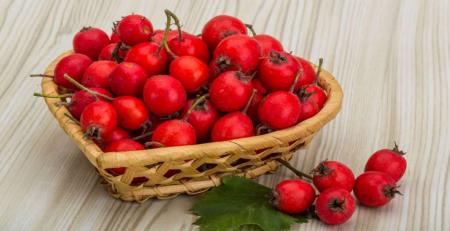 خواص باورنکردنی  زالزالک چیست؟