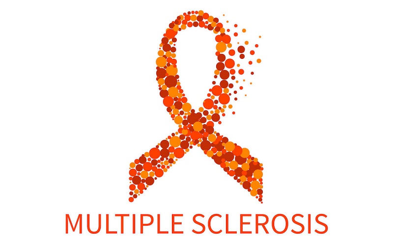  گیاهان دارویی  مفید برای کاهش حملات ام اس