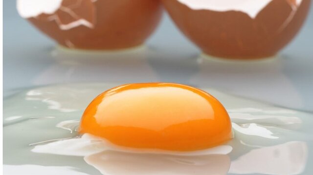 راهکاهای طلایی برای تشخیص و مصرف تخم‌مرغ سالم