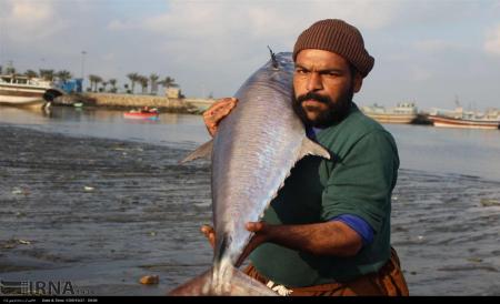 همت صیاد مَکُّرانی و یک صید عالی +تصویر