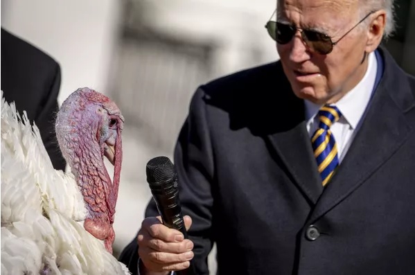 جو بایدن در روز شکرگزاری در کاخ سفید به همراه یک بوقلمون +عکس