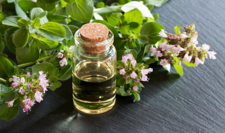 فواید مرزنجوش از نگاه طب سنتی+ طبع