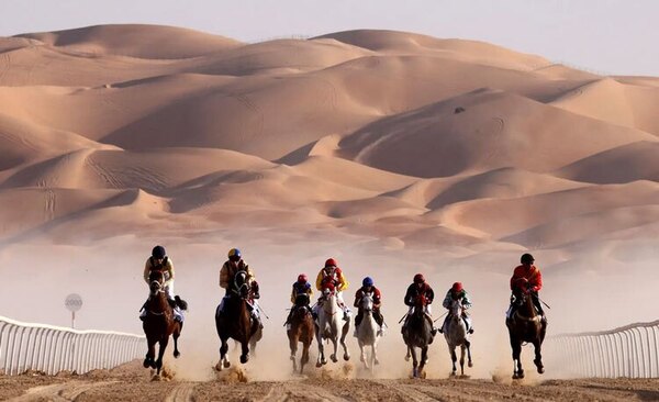مسابقه اسب های اصیل عرب در امارات متحده عربی + عکس