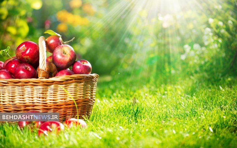 سموم دستگاه گوارش را بامصرف این میوه ها دفع کنید
