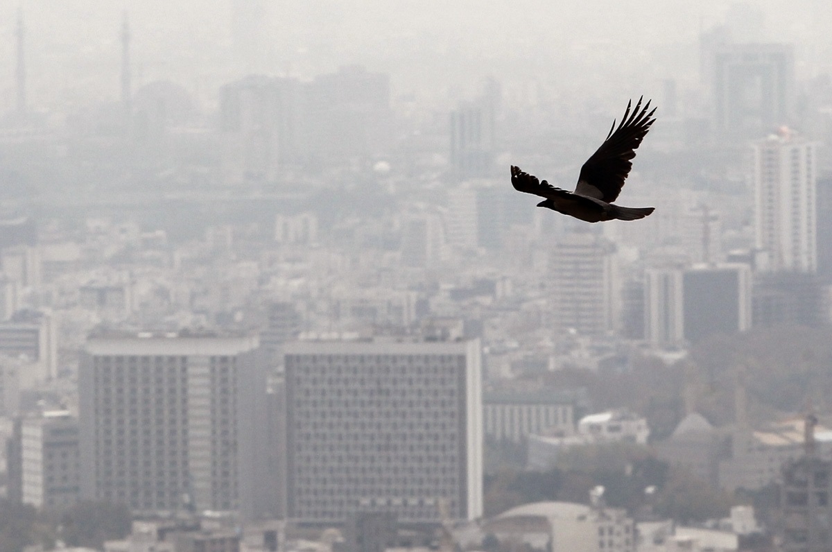 گزارش تحلیلی وضعیت شاخص آلودگی هوا در هشت کلانشهر کشور در تاریخ 28 دی ماه 1401