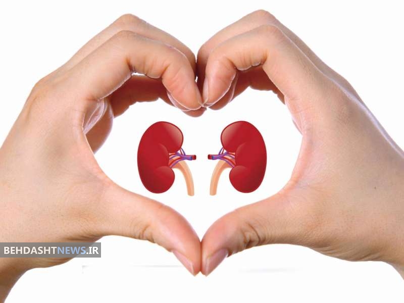 چگونه مراقب کلیه های خود باشیم؟