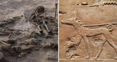 کشف مقبره کودکی که با ۱۴۲ سگ دفن شده بود+ تصویر