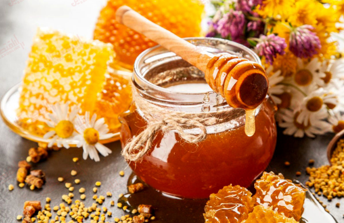 فواید مصرف روزانه «عسل» + اینفوگرافی