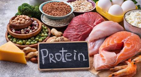  پروتئین برای بدن چه فوایدی دارد؟