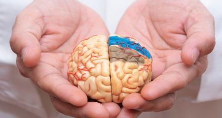  فرایند رایجی که می تواند مغز را کوچک کند