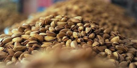 اینفوگرافیک| رتبه ایران در تولید پسته
