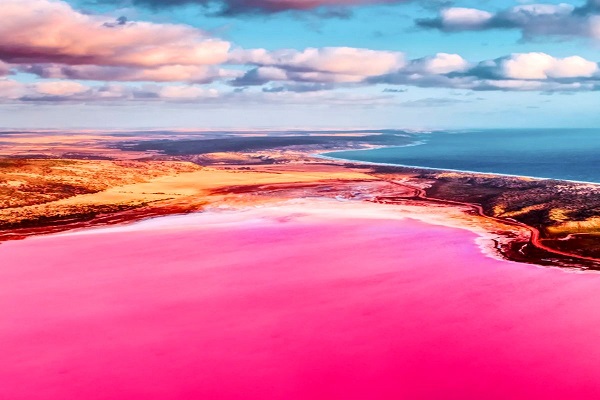 دریاچه صورتی نمک در استرالیا+ تصاویر