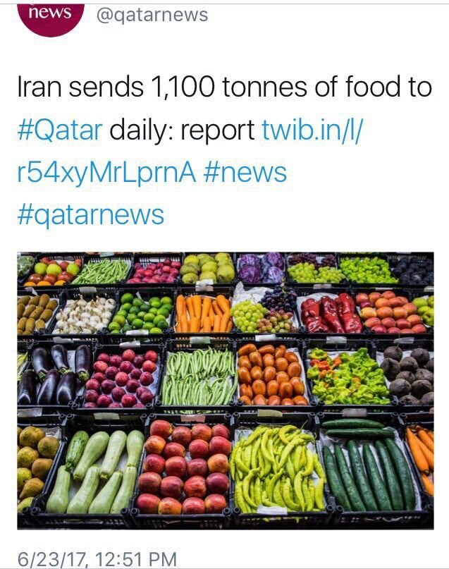 ارسال روزانه 1100 تن مواد غذایی از ایران به قطر‌ + عکس