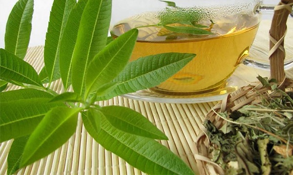 گیاهی خوش عطر که معده و حافظه را تقویت، نفخ و استرس را رفع و سردرد را برطرف می کند 