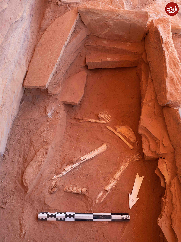 کشف قربانی‌های ۷۰۰۰ساله در مستطیل‌های باستانی عربستان+ تصاویر