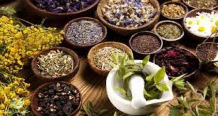 گیاهان مفید برای کنترل ام اس