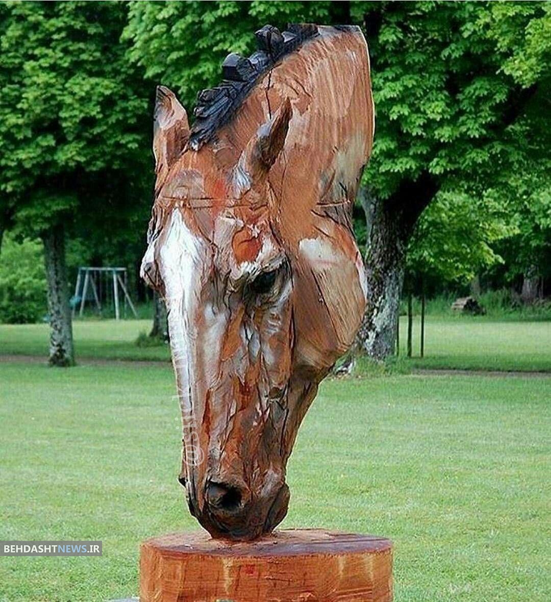 هنرنمایی با درخت خشک شده/عکس