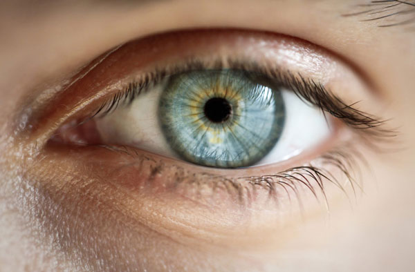  تشخیص خودکار بیماری‌های چشمی توسط محققان دانشگاه تهران 
