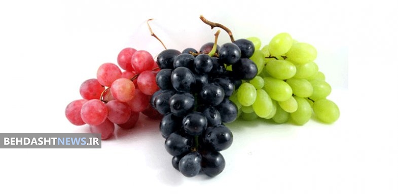 درمان سرطان کولون با این میوه