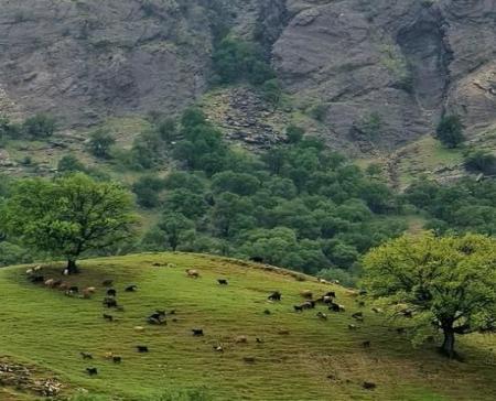 تصویر رویایی از زاگرس باشکوه+عکس