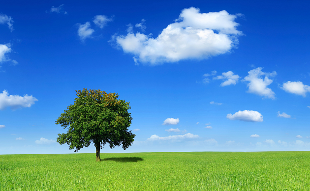  پیش بینی هواشناسی برای تعطیلات عید فطر
