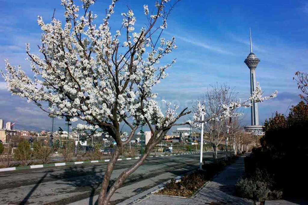 اینفوگرافیک | پاک‌ ترین و آلوده‌‌ترین سال هوای تهران در دو دهه اخیر