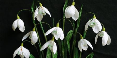 گیاهی حاوی کلشی سین که نقرس را درمان می‌کند