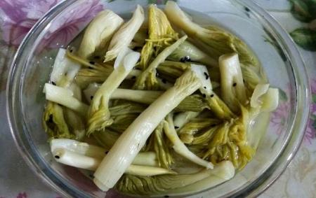 این گیاه کوهی استان کهگیلویه و بریراحمد کبد را نابود می‌کند و سرطان‌زاست