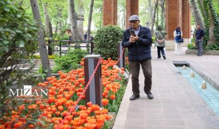تصاویر| باغ زیبای ایرانی در تهران