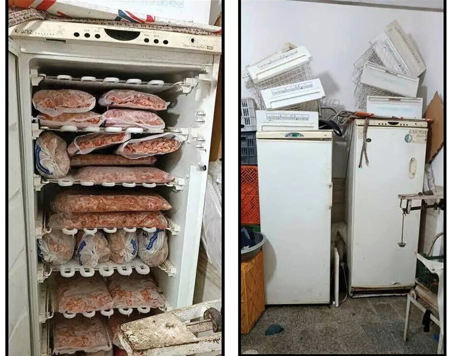 توزیع گوشت و مرغ آلوده در رستوران‌های مشهد+عکس